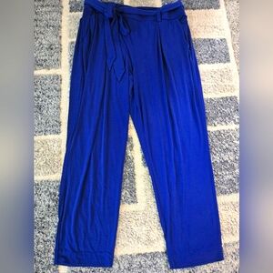 Express Dress Pants